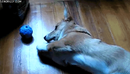 anigif_enhanced-buzz-31318-1377012991-6