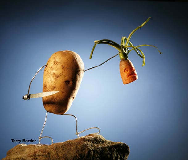 bent-objects-terry-border-Secret-Life-of-Objects-20