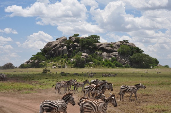 9-lieux-reels-qui-ont-inspires-les-celebres-decors-des-films-disney29