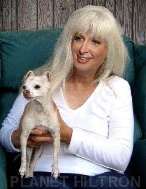 Planet-Hiltron-Paris_hilton