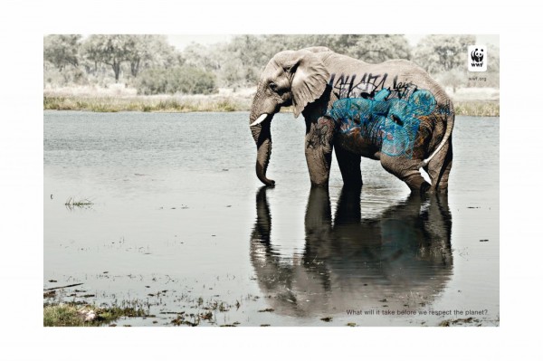 WWF-tag-elephant