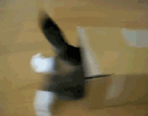 anigif_enhanced-buzz-9869-1380136998-15