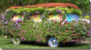 Combis Volkswagen