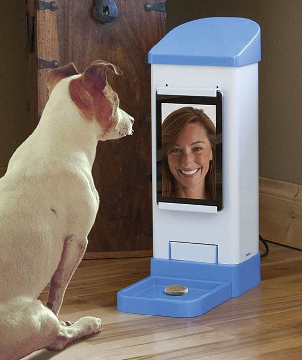 iCPooch-dog-skype-5