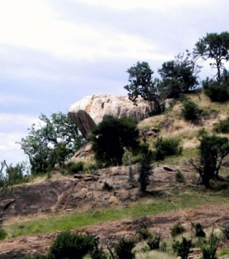 un-rocher-situe-a-serengeti-au-kenya-a-inspire-le-roi-lion_132690_w460