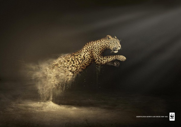 wwf-publicite-leopard