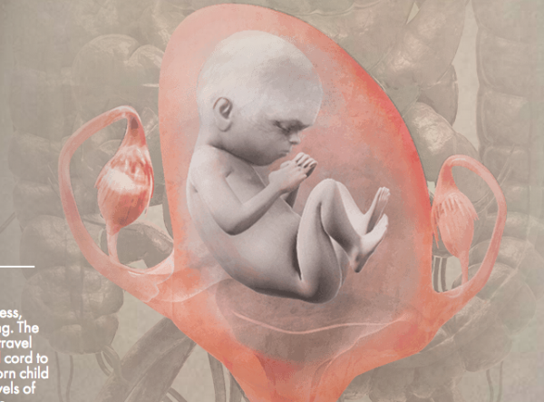 Capture-d’écran-2013-10-07-à-15.19.36