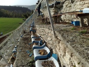 Le-Balchik-Stadium-1-300x225