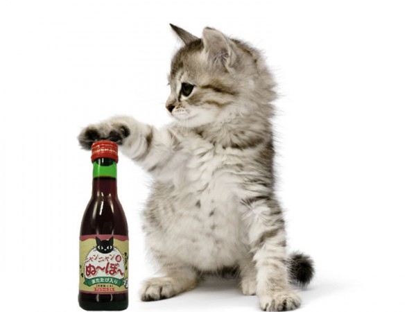 Nouveaute-made-in-Japon-du-vin-pour-chats_exact780x585_l