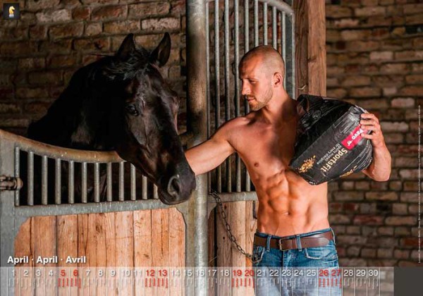 calendrier-palefreniers-2014-02