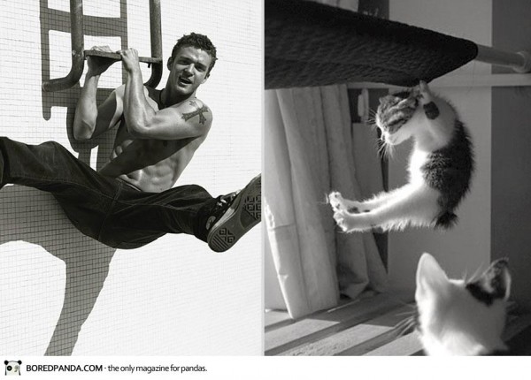 des-hommes-et-des-chatons-men-and-cats-2-10