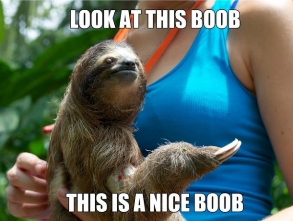 enhanced-buzz-24012-1382481445-12