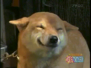 happydog