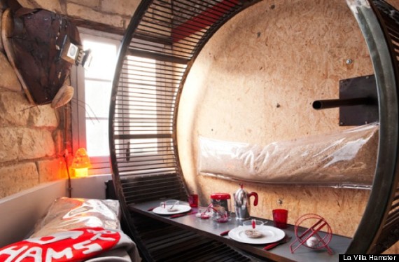 o-LA-VILLA-HAMSTER-570