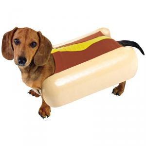 300x300xcostume-hot-dog-pour-chien.jpg.pagespeed.ic.BCAuUmgGeP
