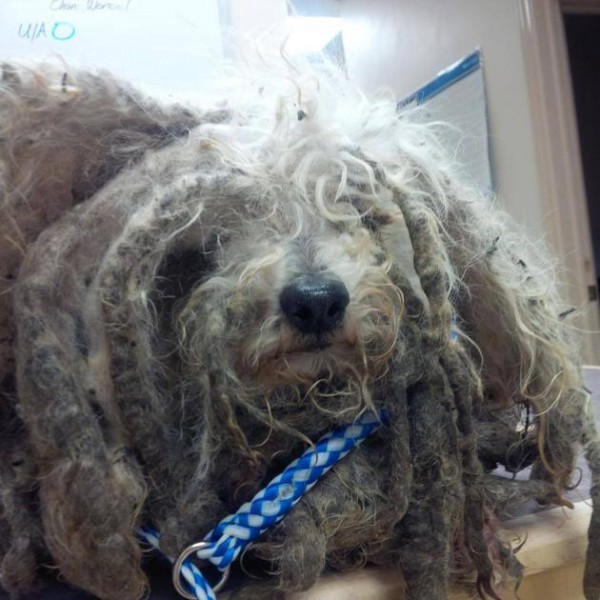 36b582d0-774b-4be2-a573-81085751f6c6_1374267_641486662538834_451503261_n