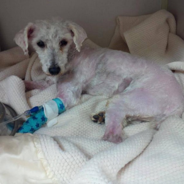 39db8187-8699-43af-a0eb-b4afe945e4f1_1375778_641486482538852_1873269700_n