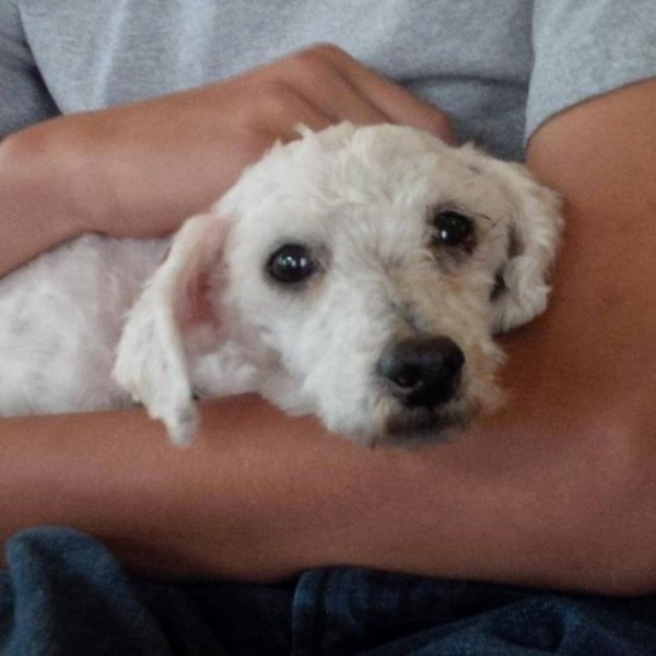 3a1adc81-72e7-4517-a84c-b222e883a837_599613_643131182374382_1027023822_n