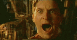 Tobey-Maguire-As-Spider-Man-Devastated-Screaming-Reaction-Gif