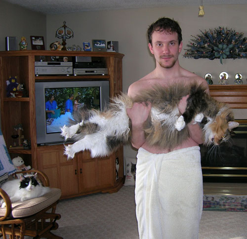 enhanced-buzz-15246-1383929570-0