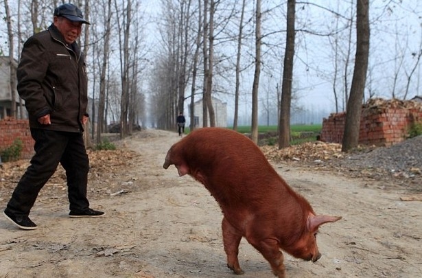 enhanced-buzz-19892-1335993948-21