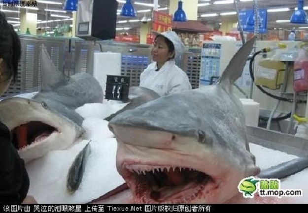 enhanced-buzz-21970-1335974465-8