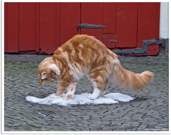 enhanced-buzz-2204-1384970362-26