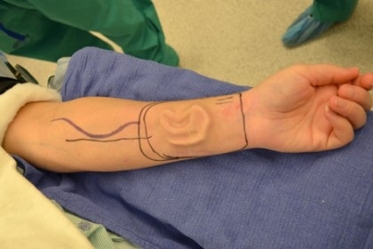 enhanced-buzz-7296-1383158683-33