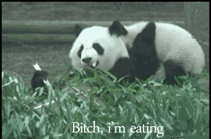 tumblr_m8cewffWiw1qj73e2o1_500