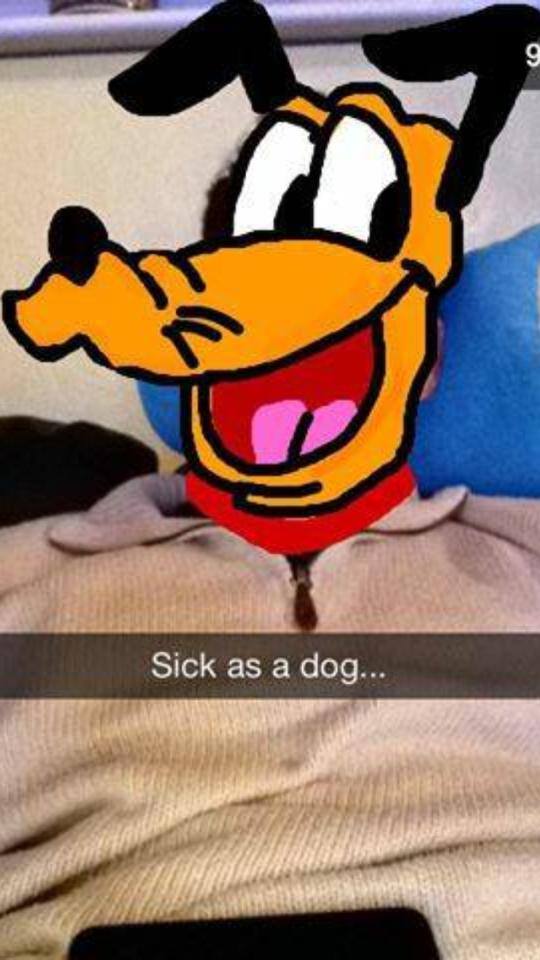 1377124_642234445829479_1567353080_n