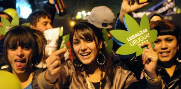 6741429-cannabis-l-uruguay-ose-la-legalisation