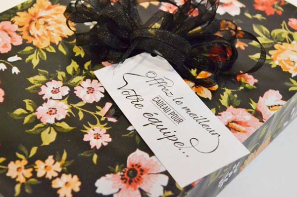 Sang-Neuf-CV-Melissa