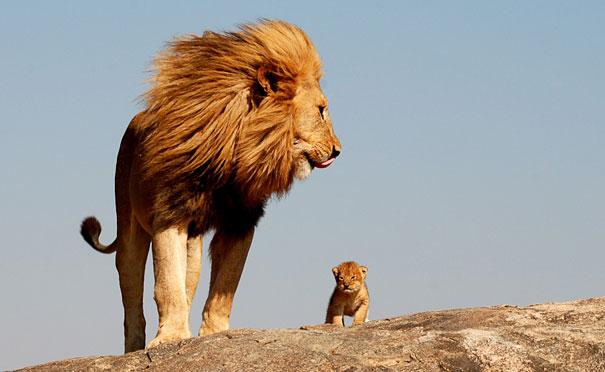 animals-with-miniature-versions-of-themselves-4