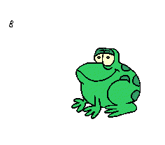 grenouille1