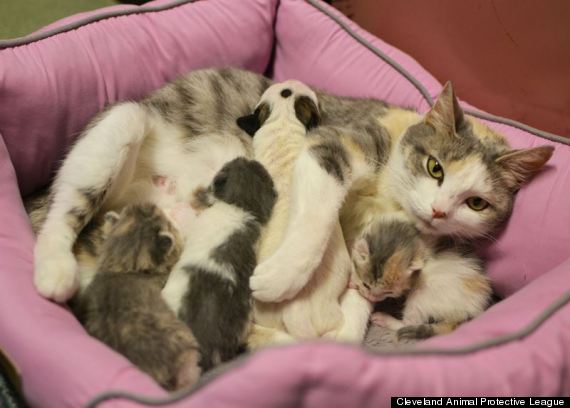 o-LURLENE-NOLAND-1-570