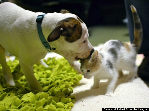 o-LURLENE-NOLAND-3-570