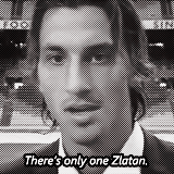 tumblr_mtsmgcSN8G1qd1z1qo2_250