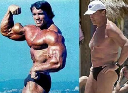 Arnold Schwarzenegger 