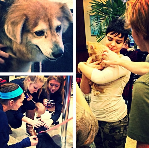 Capture d’écran 2014-01-10 à 08.48.53