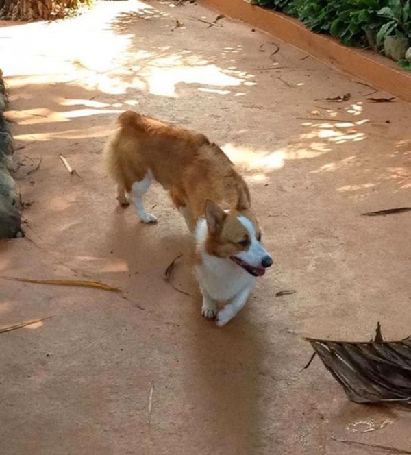 fail-panoramique-hitekfr-zone42-10