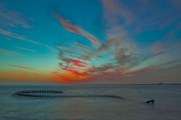 un-terrifiant-squelette-de-serpent-en-aluminium-git-sur-les-plages-de-la-loire16