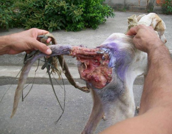 1528734_614819041913247_132922127_n