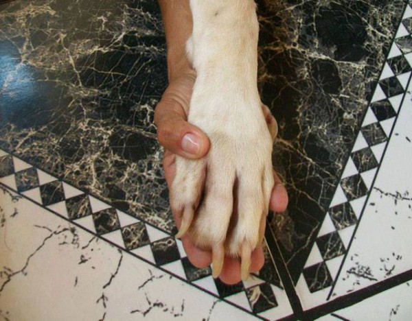 1536743_614820905246394_1721243892_n