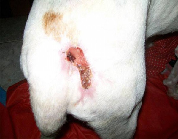 1544364_614820375246447_2046920307_n