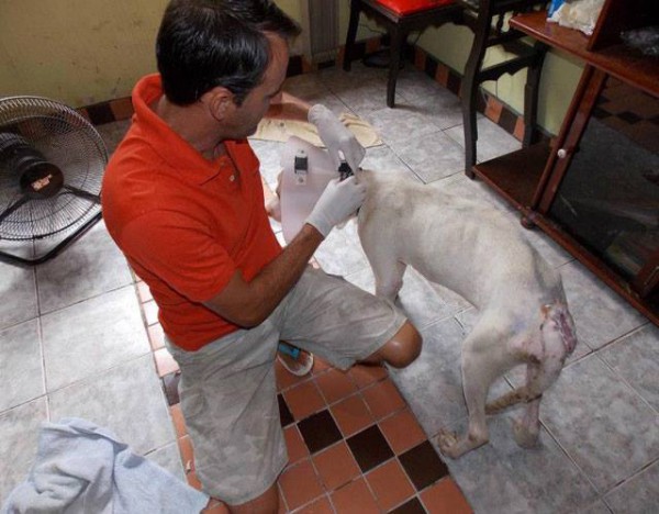 1545977_614820225246462_877292042_n