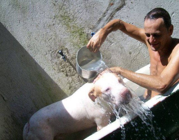 1555413_614820798579738_779773771_n