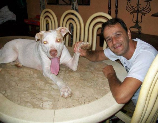 1560497_614821021913049_743475404_n