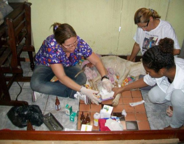 1601191_614819765246508_1089575181_n