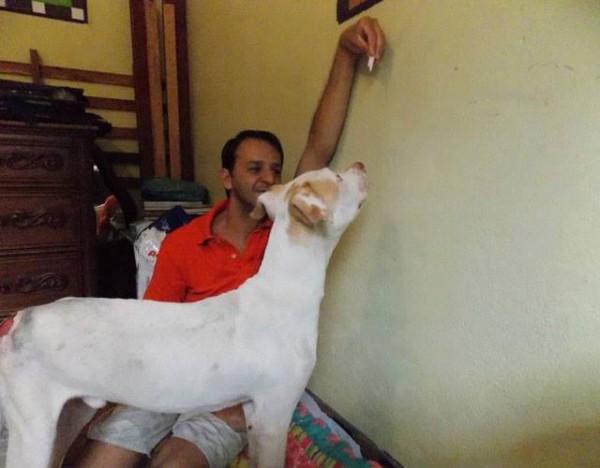 1601401_614820868579731_462506143_n