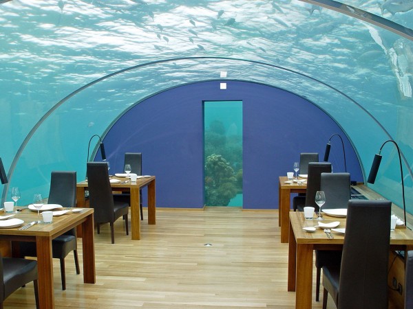 L'Ithaa Undersea Restaurant est situé dans le complexe hôtelier Hilton, aux Maldives. Les prix des repas sont élevés ( à partir de 120 $), mais la vue est imprenable !